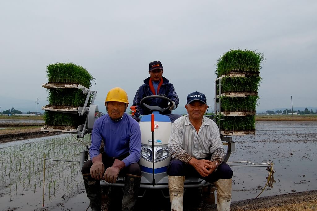 秋田県横手産ミルキープリンセス7年産25㎏