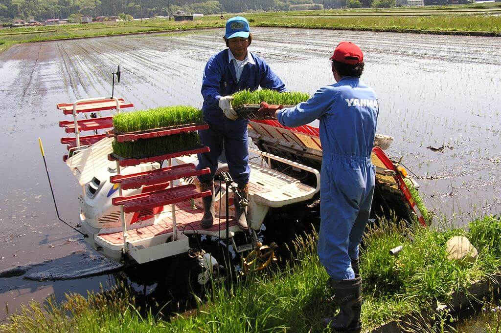 宮城県栗原産つや姫7年産25㎏