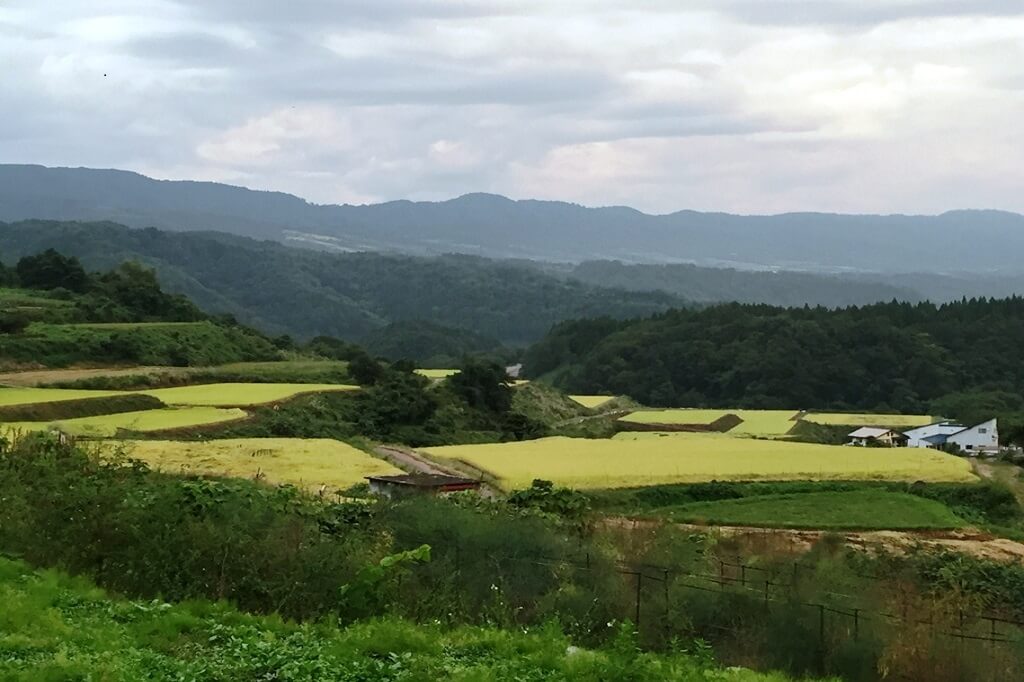 長野県産にじのきらめき7年産30㎏/福山通運