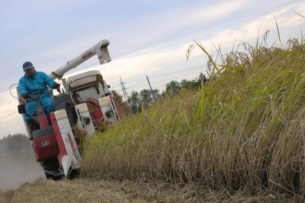 福島県須賀川産ひとめぼれ7年産25㎏