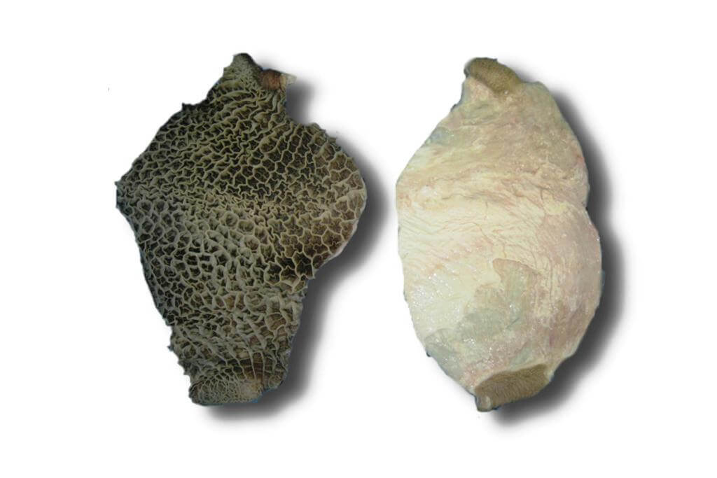 豊西牛ハチノス1kg