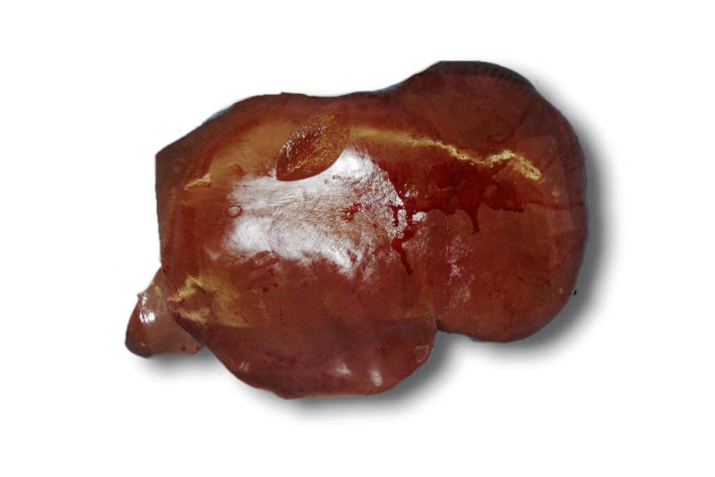 豊西牛レバー1kg