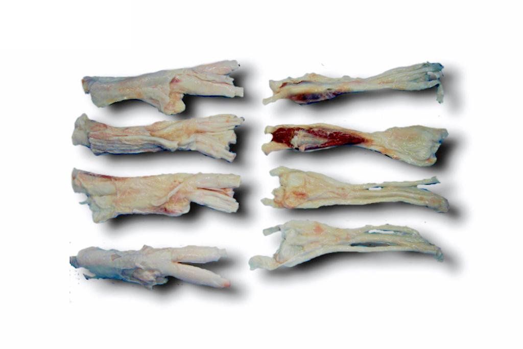 豊西牛アキレス1kg