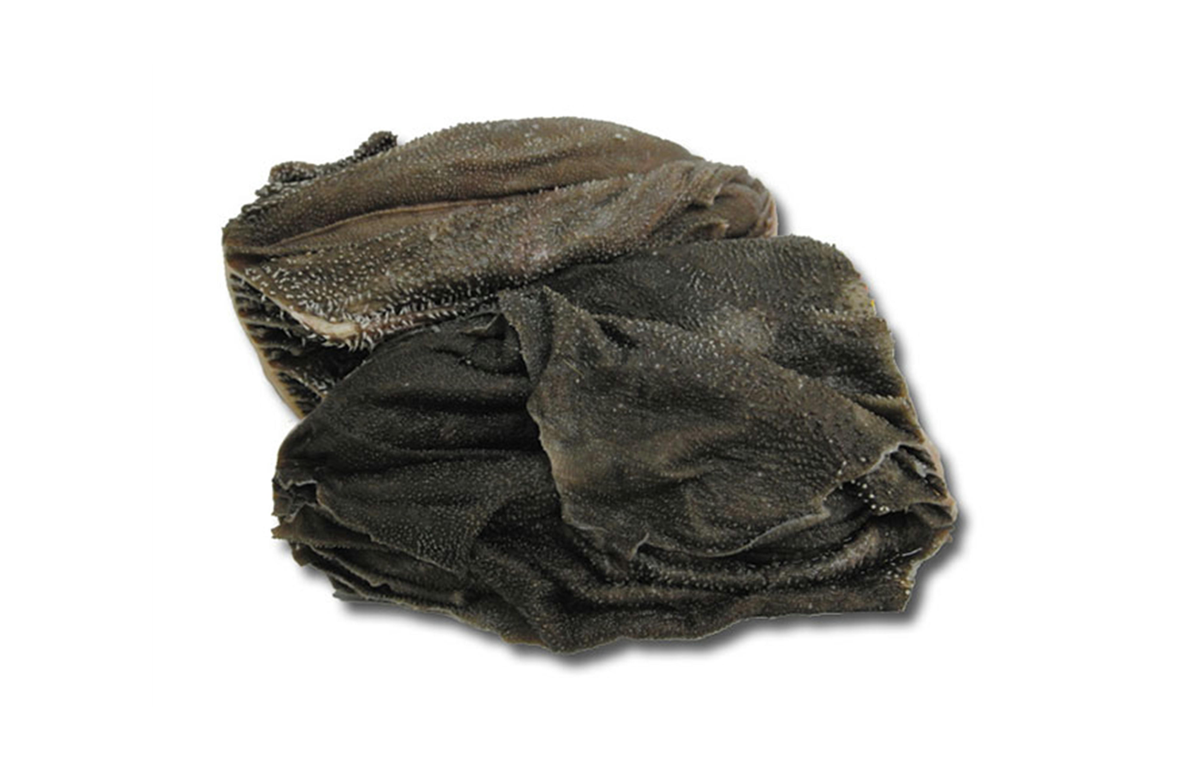 門崎丑センマイ1セット（概算重量2kg）【冷凍】