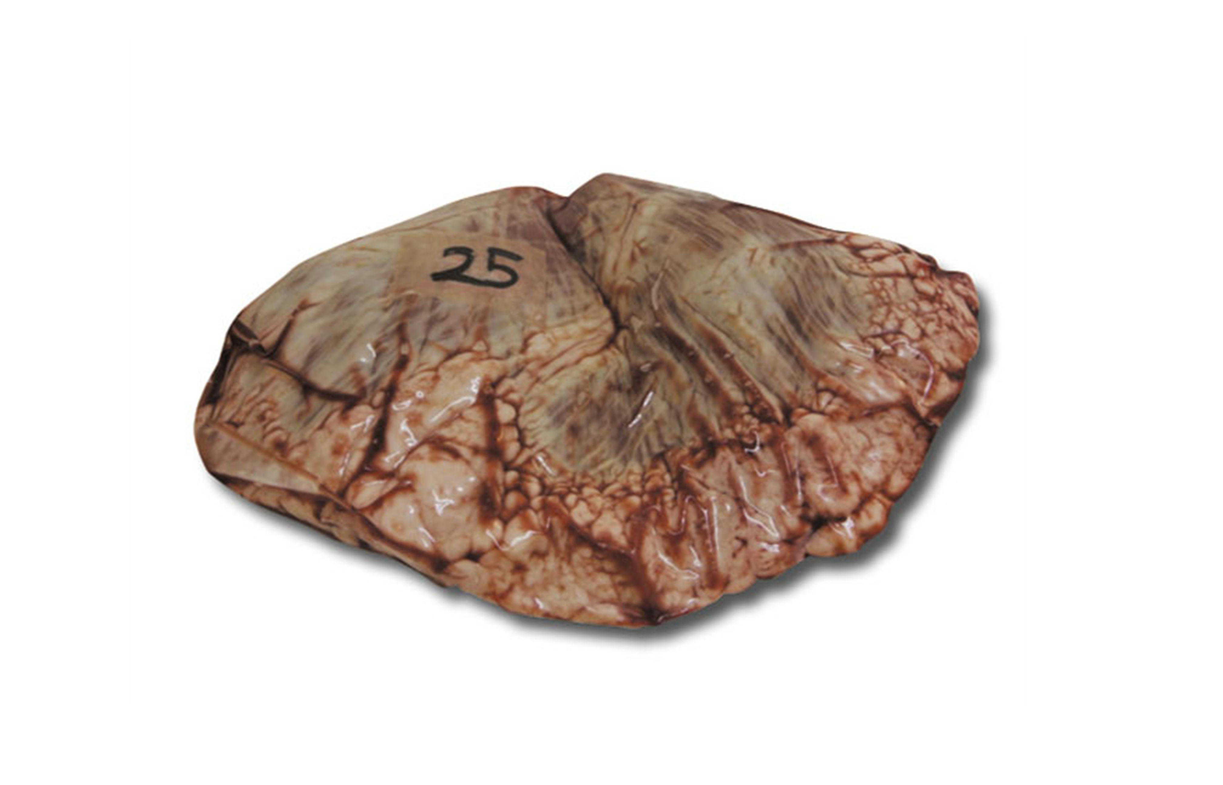 門崎丑ハツ1セット（概算重量1.5kg）【冷凍】