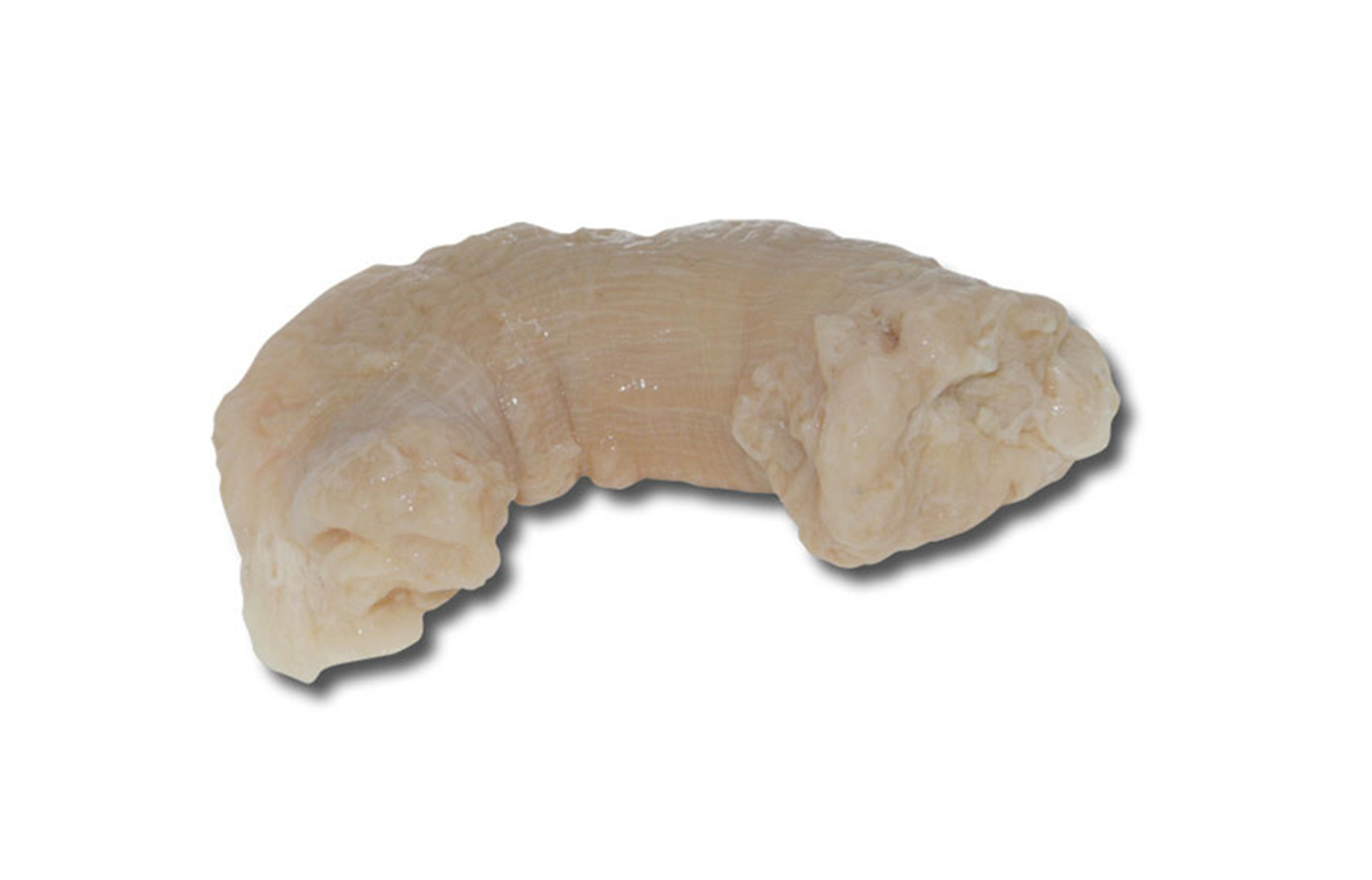 門崎丑上ミノ1セット（概算重量0.3kg）【冷凍】