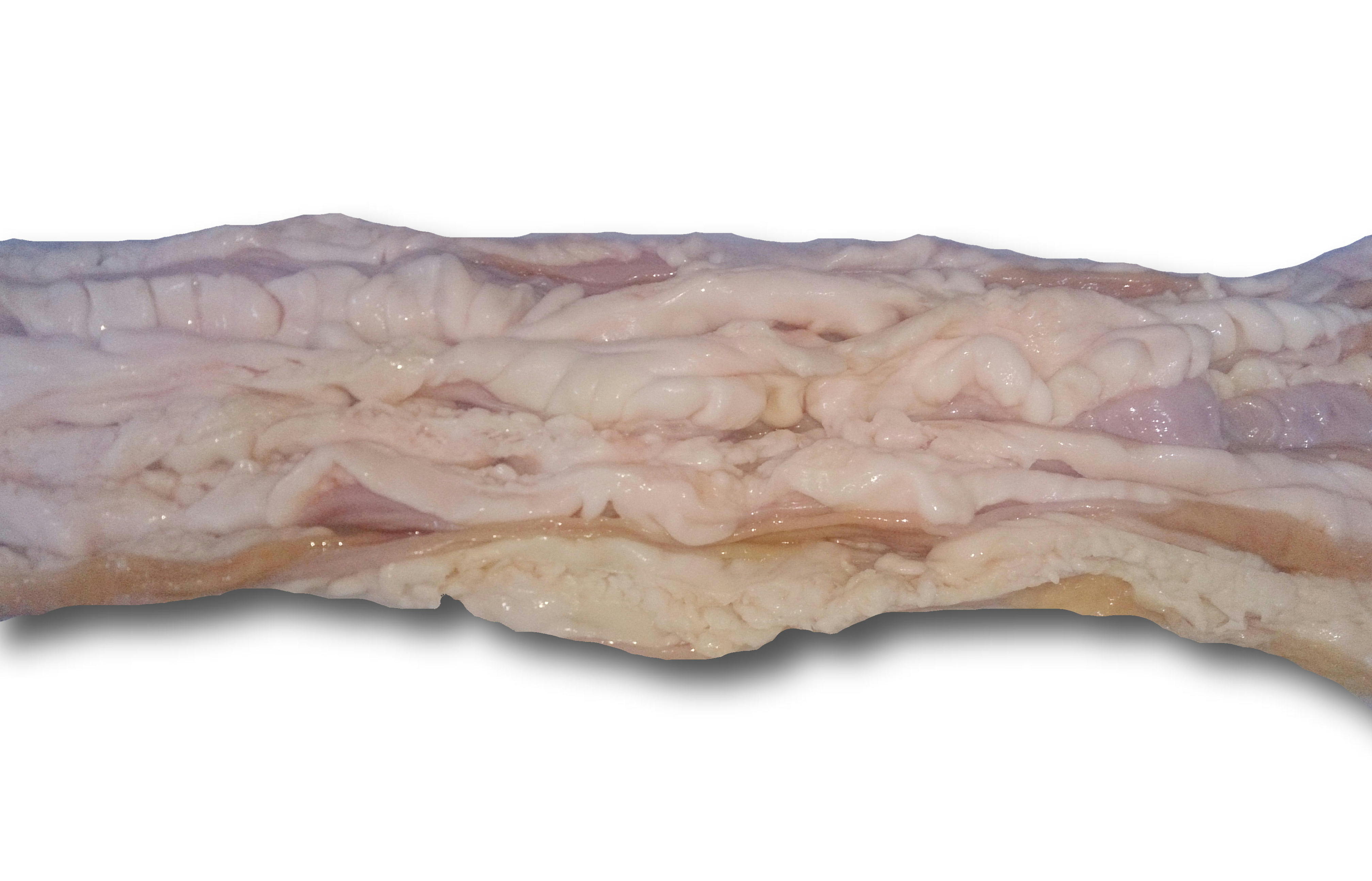 門崎丑小腸1kg【冷凍】