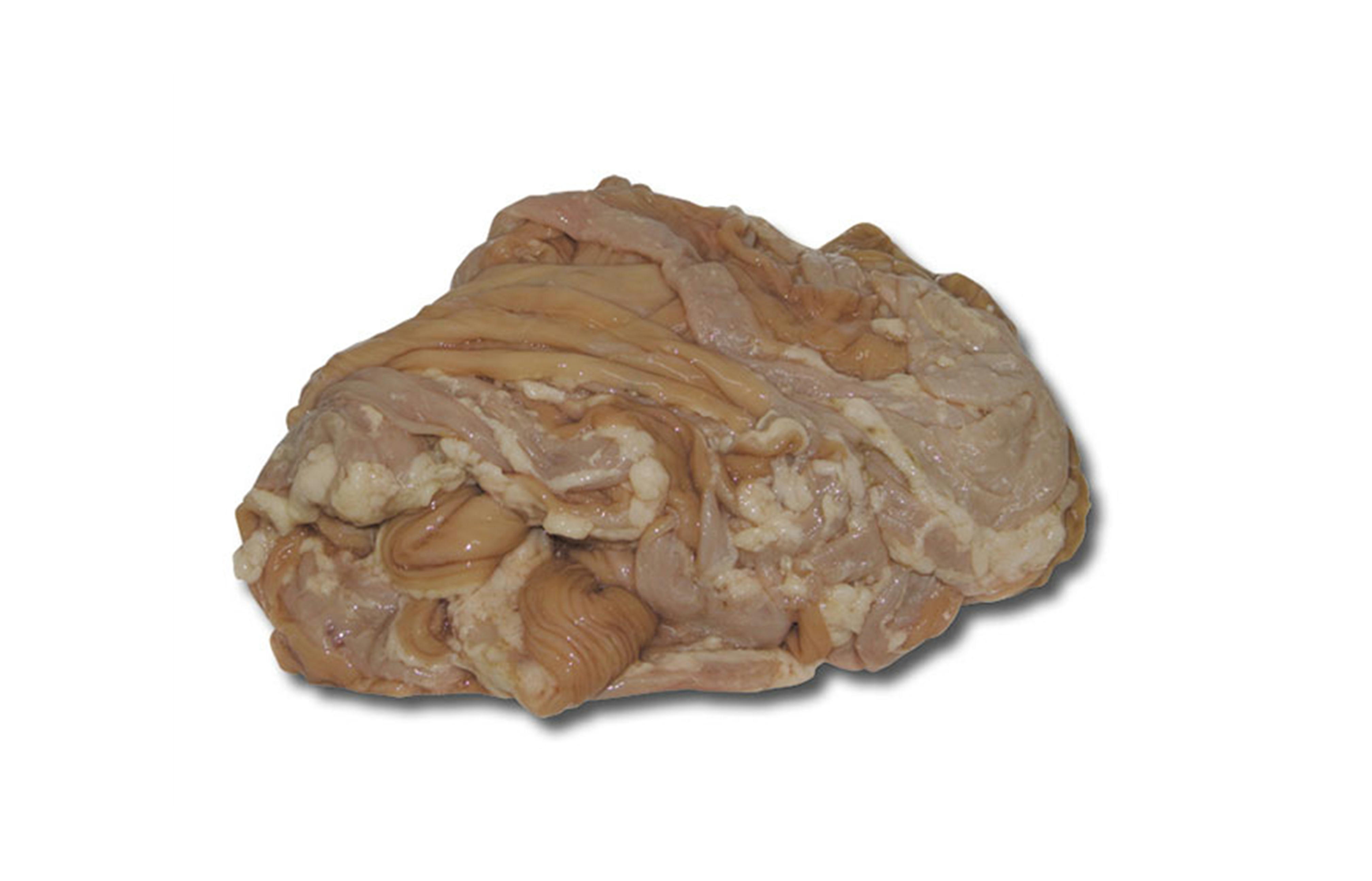 門崎丑大腸1セット（概算重量1.5kg）【冷凍】